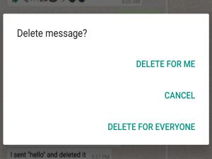 read deleted messages