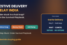 Stuck festive package delivery delay India