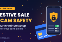 Festive sale scam safety