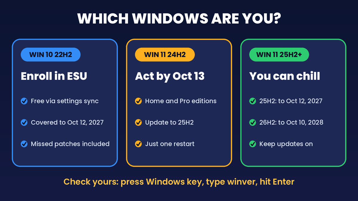 Which Windows version needs action
